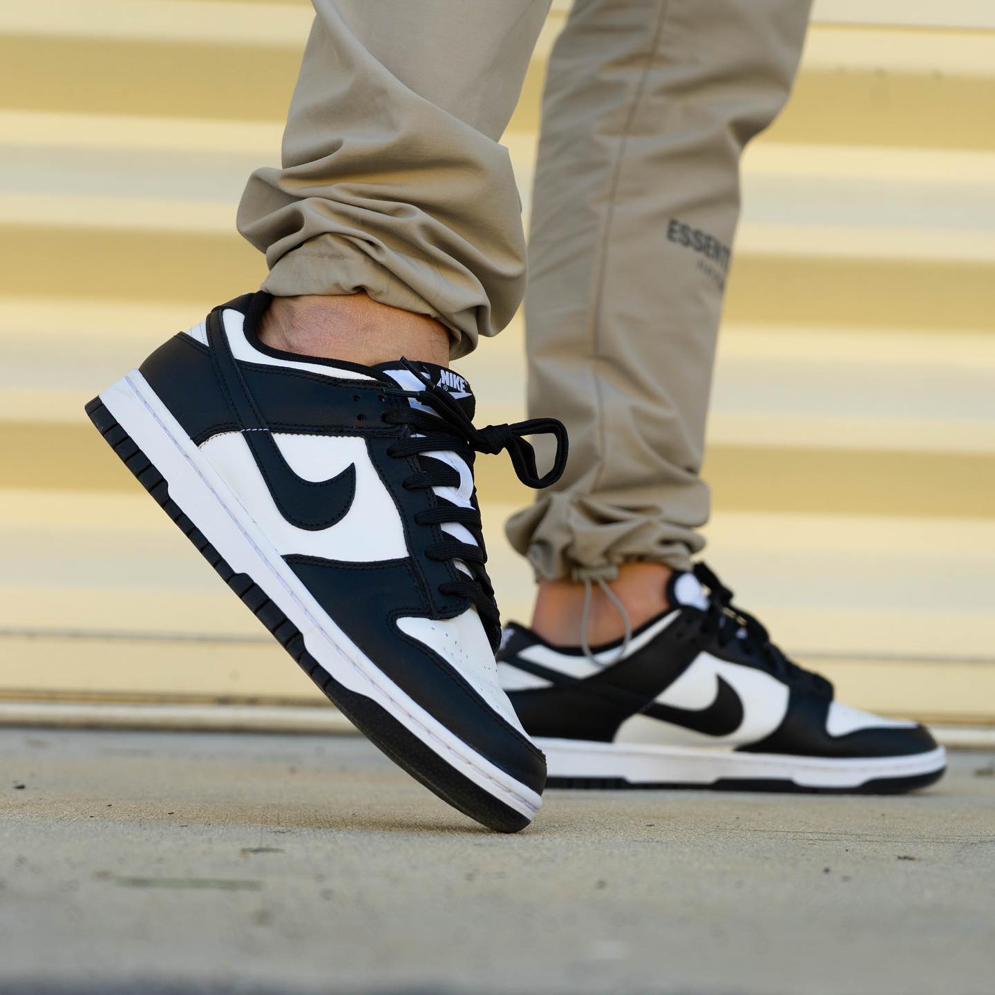 Nike Dunk Low Panda (M)