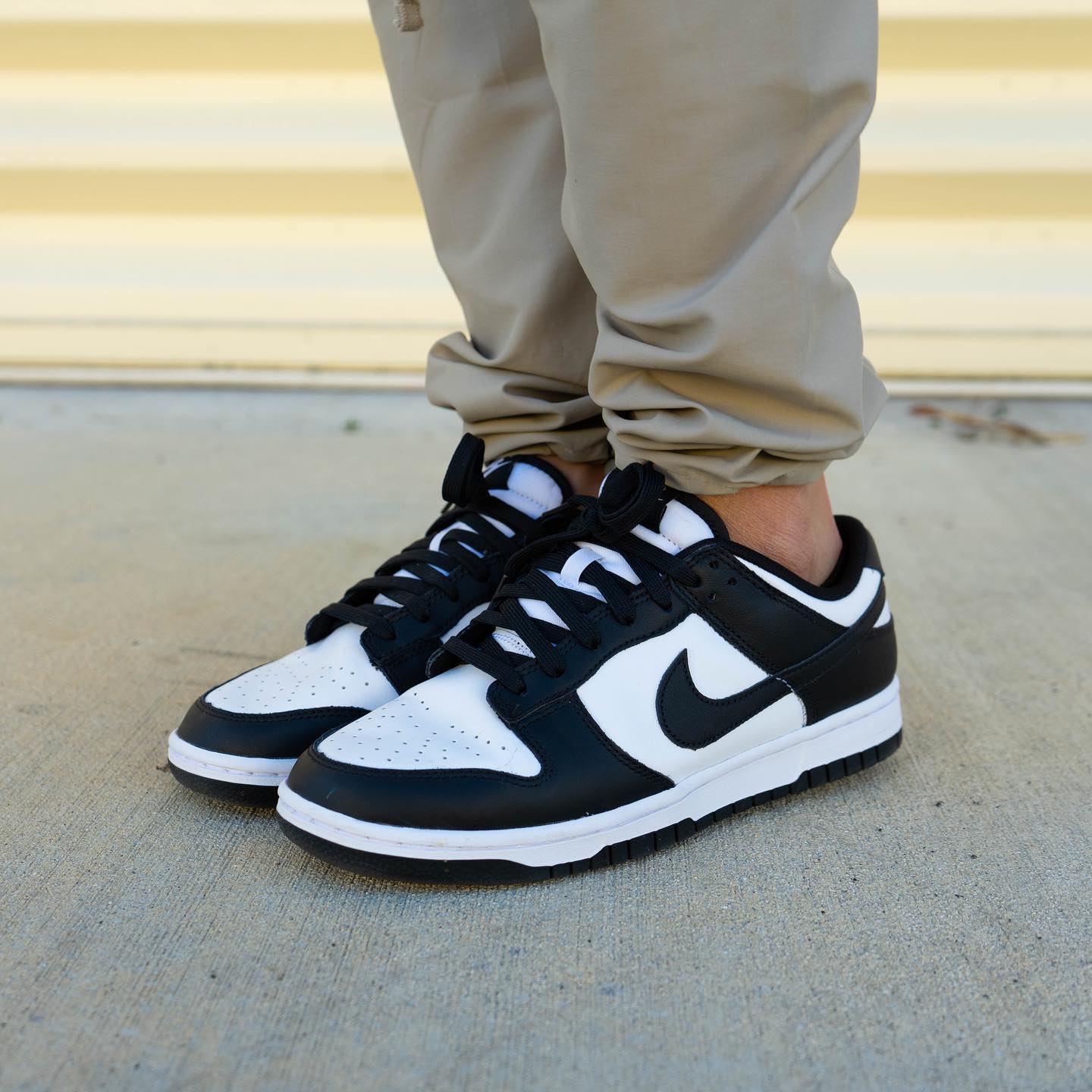 Nike Dunk Low Panda (M)
