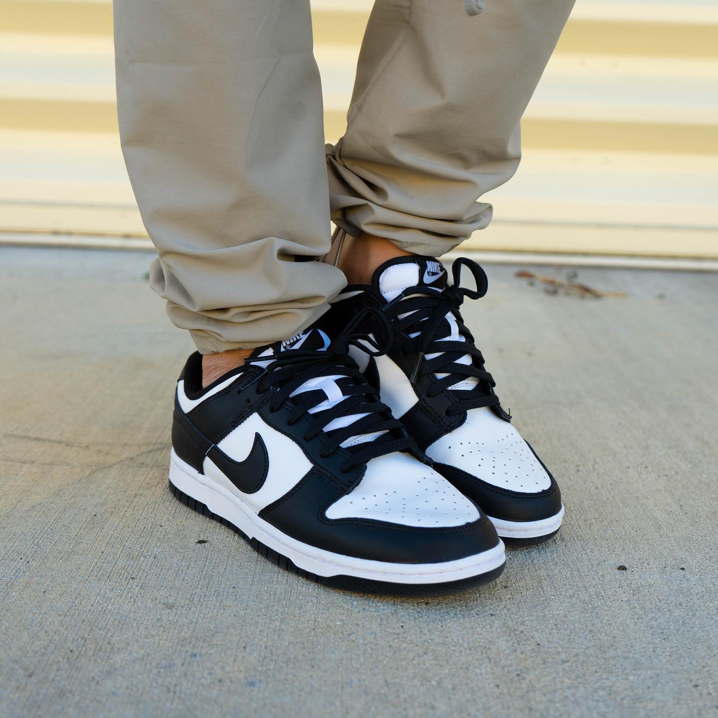 Nike Dunk Low Panda (M)