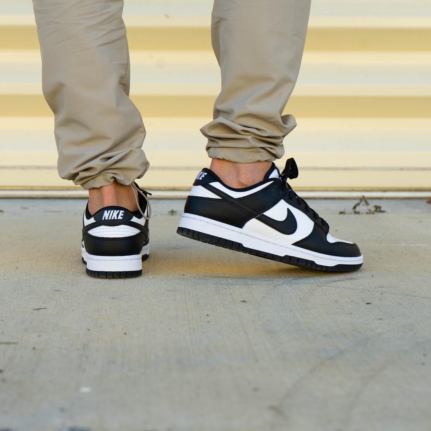 Nike Dunk Low Panda (M)